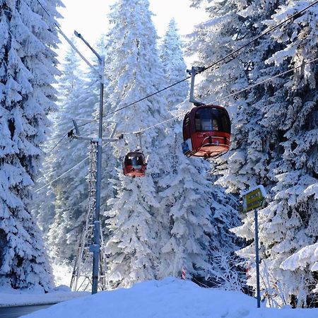 Your Place Borovets Eksteriør billede